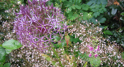 contemporary and unique garden design covering Siena Italy by 3G Design